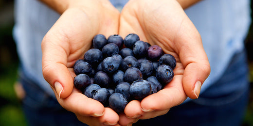 The Power of Blueberry Extract in Cosmetics